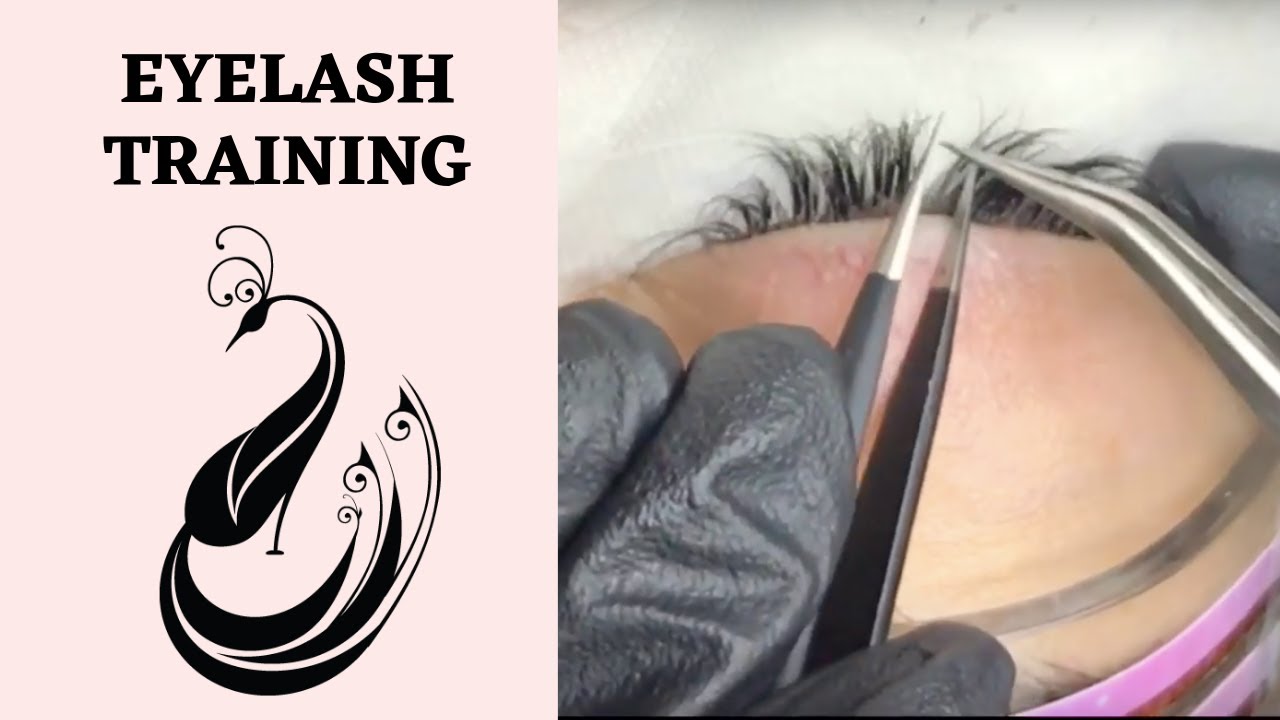 Yegi Academy | Eyelash Extension Training