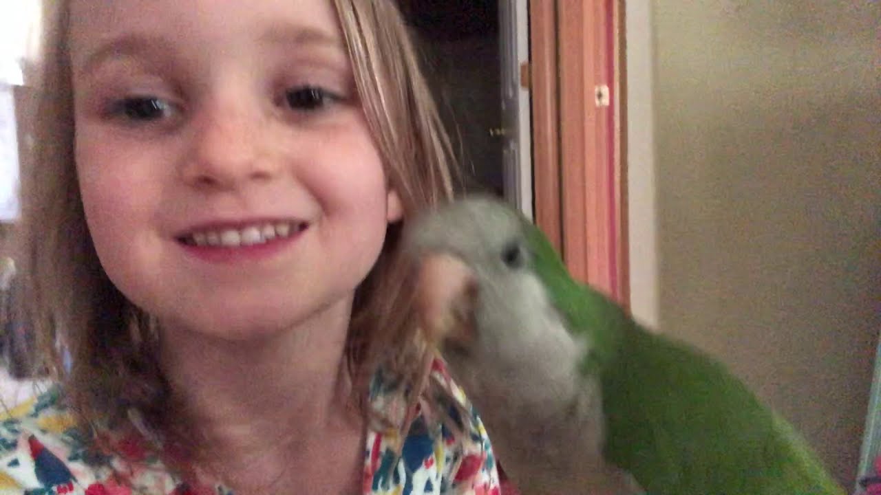 Why I Let Lefty The Quaker Parrot BITE My Niece