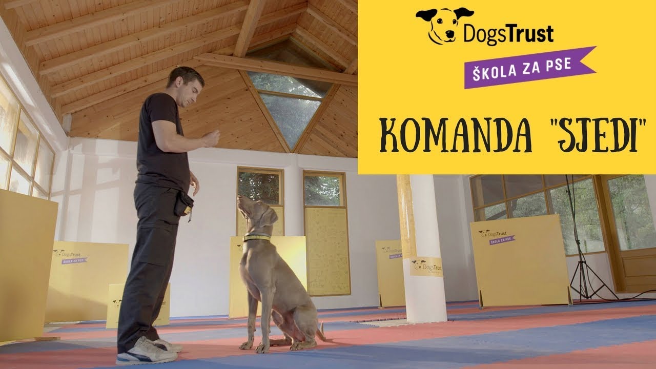 Komanda “Sjedi”