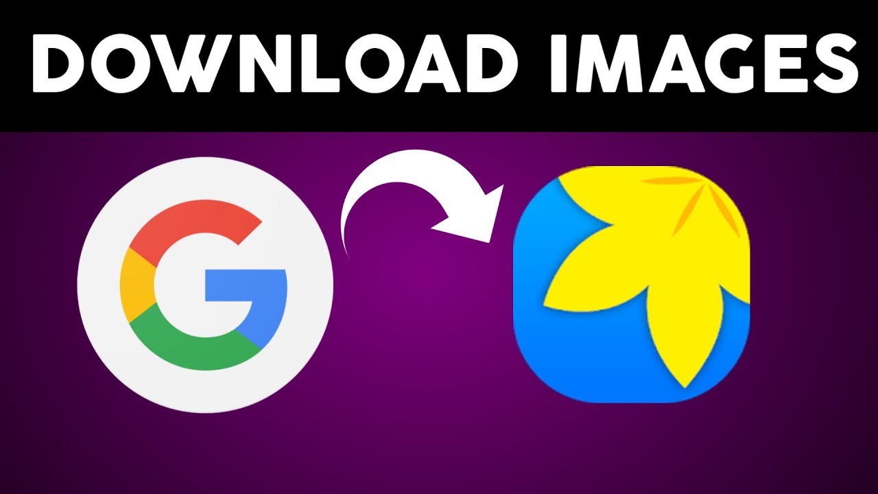 How to Download Images from Google to Gallery (Android)