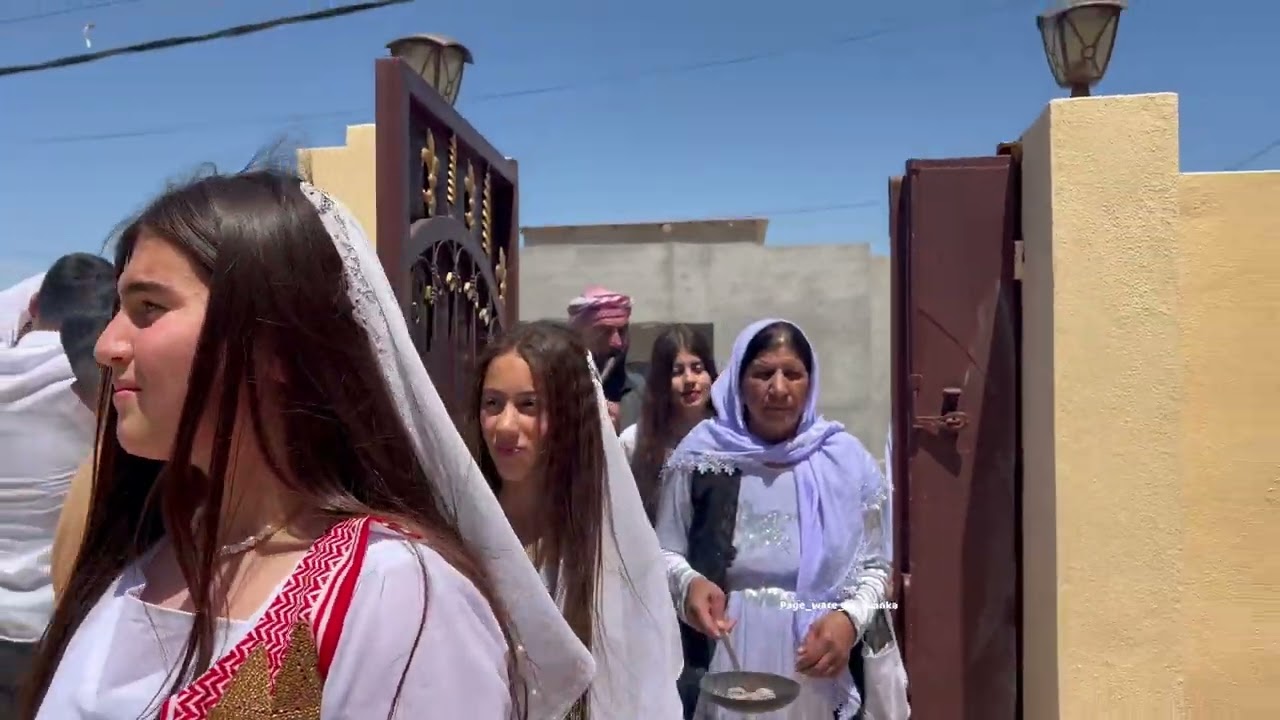 قوناغا طاووس گێرانێ ل ناحیا خانکێ گوندێ هـەوێریا🪔🦚