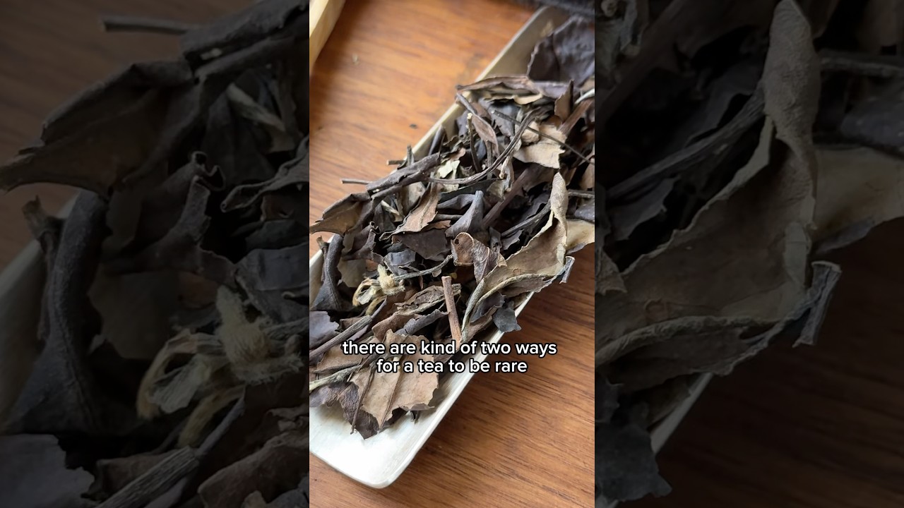 $1500+ per pound for this guy #tea #rare #whitetea #chinese #gongfutea #jessesteahouse #expensive
