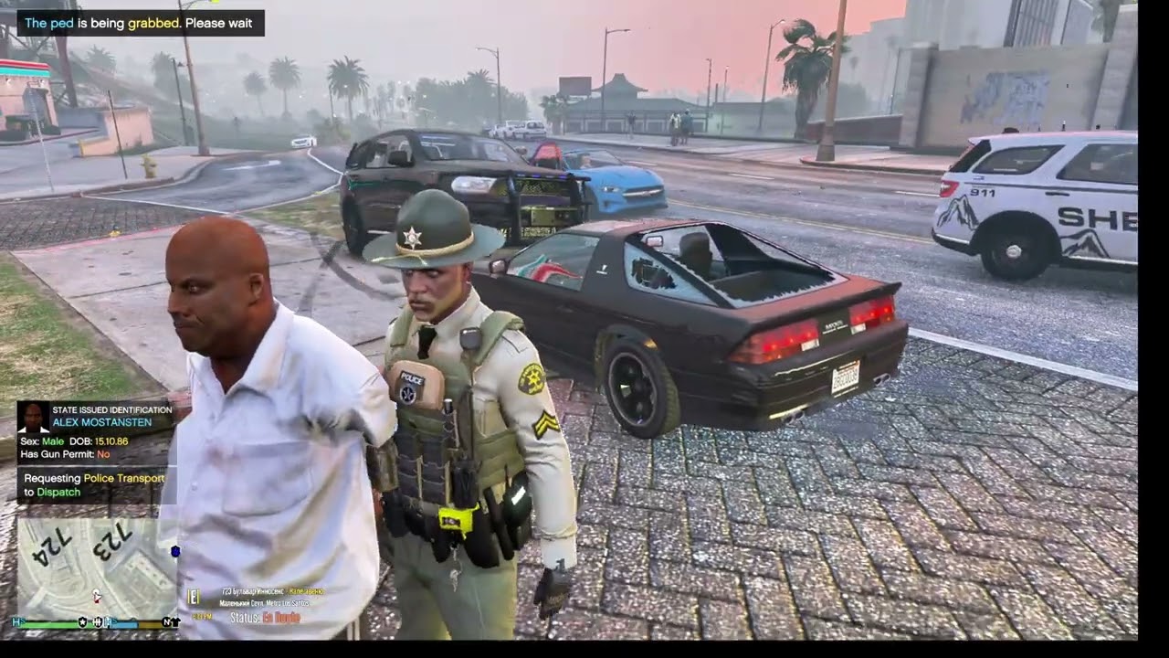 LSSD Patrol #Revenge Money Truck #LSPDFR #GTAV #GTA5 #Ghost Player