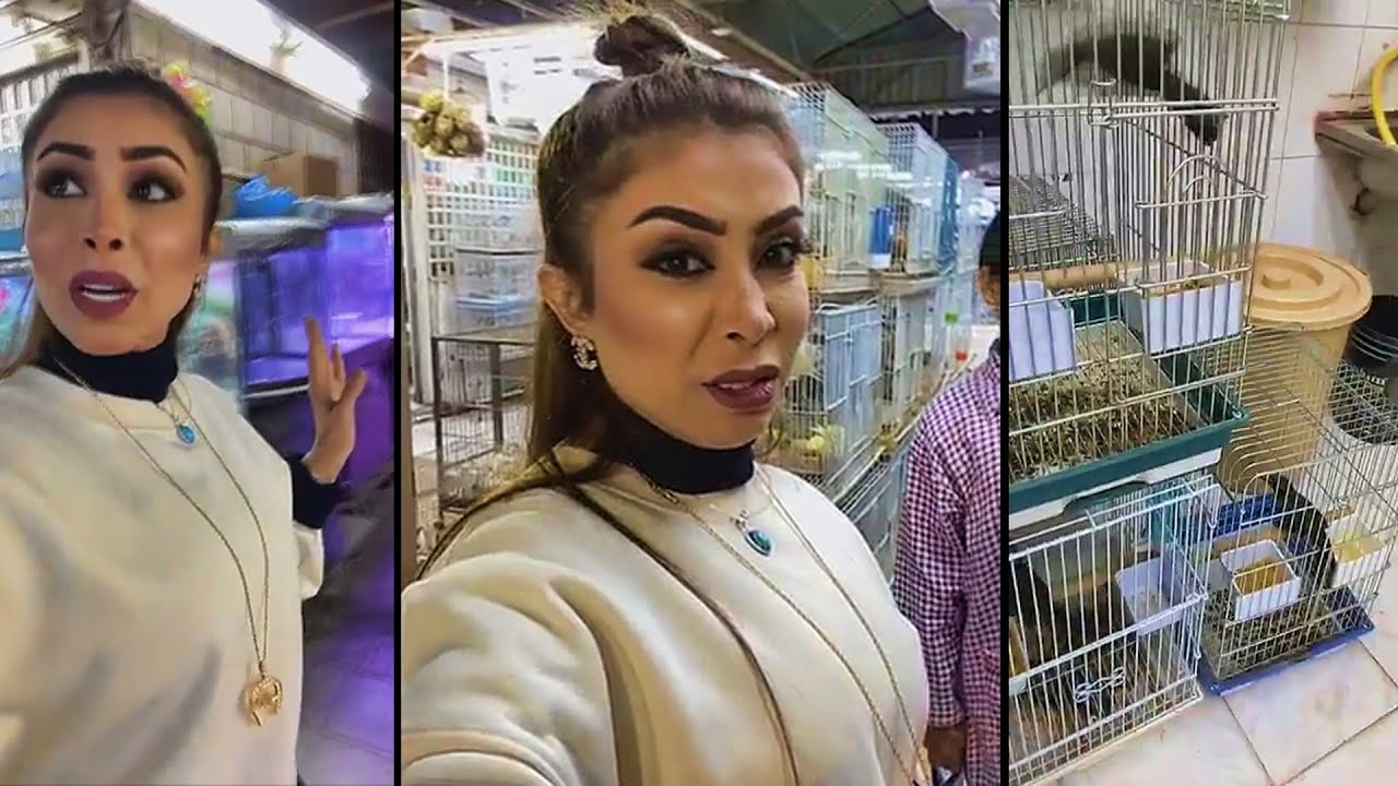 ابرار طالعة مع زوجها رايحة سوق الحمام تحقق حلمها😆