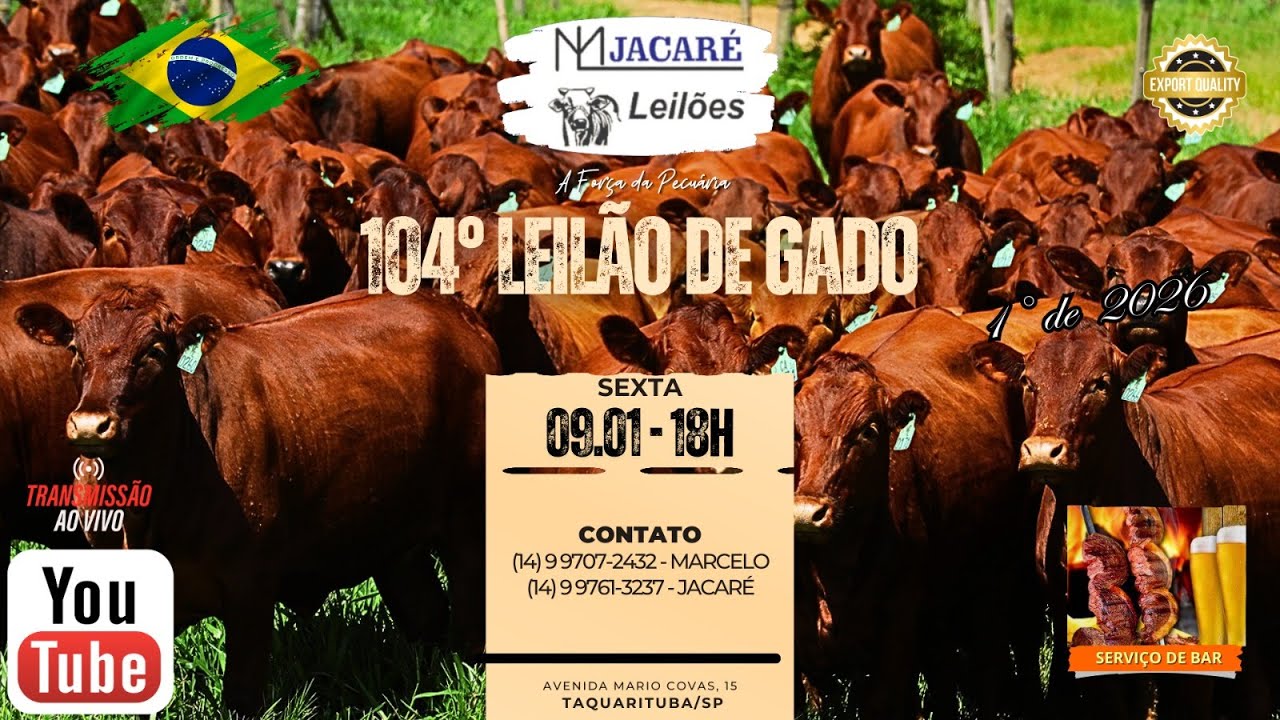 104° LEILÃO DE GADO - 09/01/2026 - ML JACARÉ LEILÕES - TAQUARITUBA/SP 