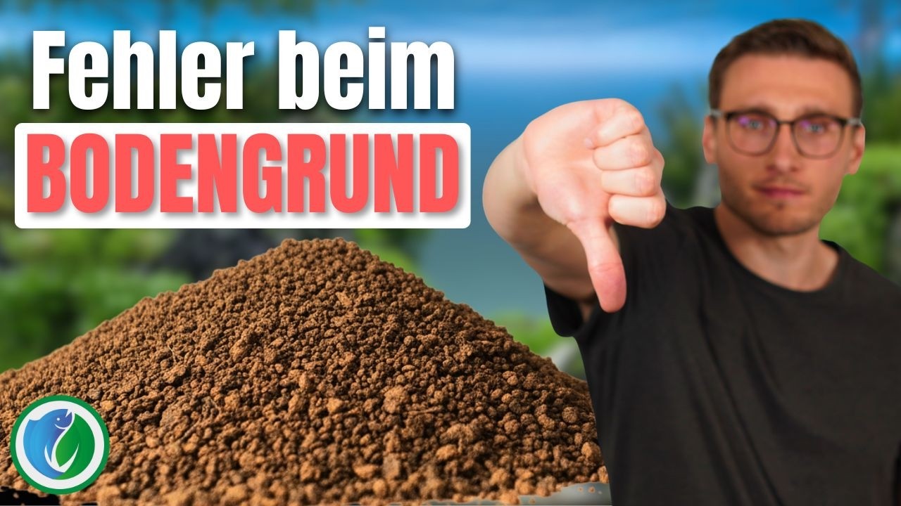 Bodengrund im Aquarium: 5 typische Fehler, die fast jeder macht!