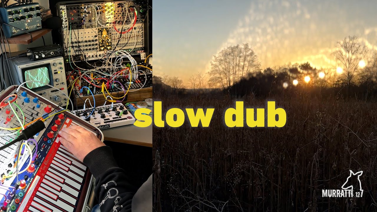 slow dub buchla eurorack ambient