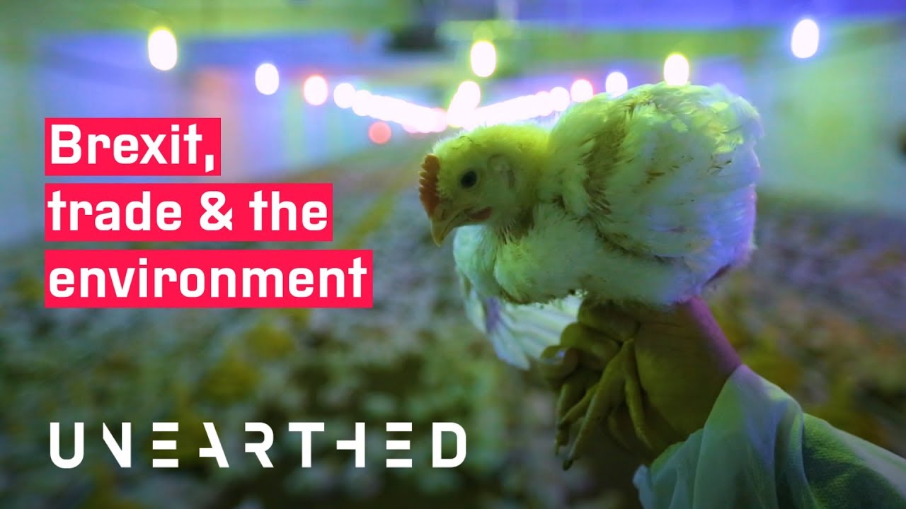 Brexit, trade & the environment: what's the big deal?