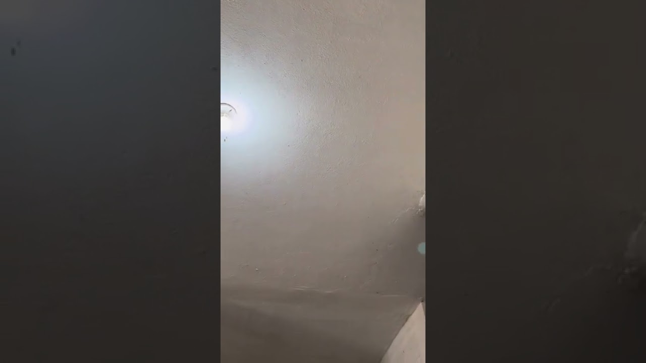 el delicioso 🤤