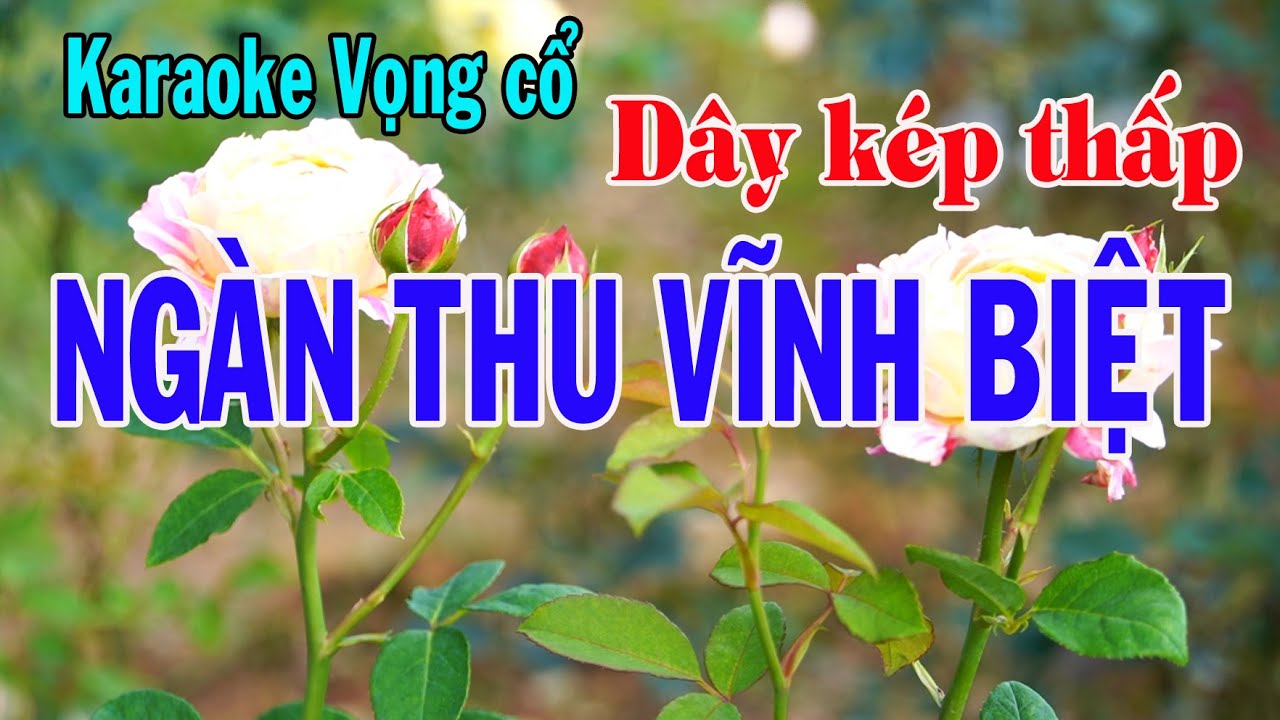 Karaoke vọng cổ NGÀN THU VĨNH BIỆT - DÂY KÉP THẤP