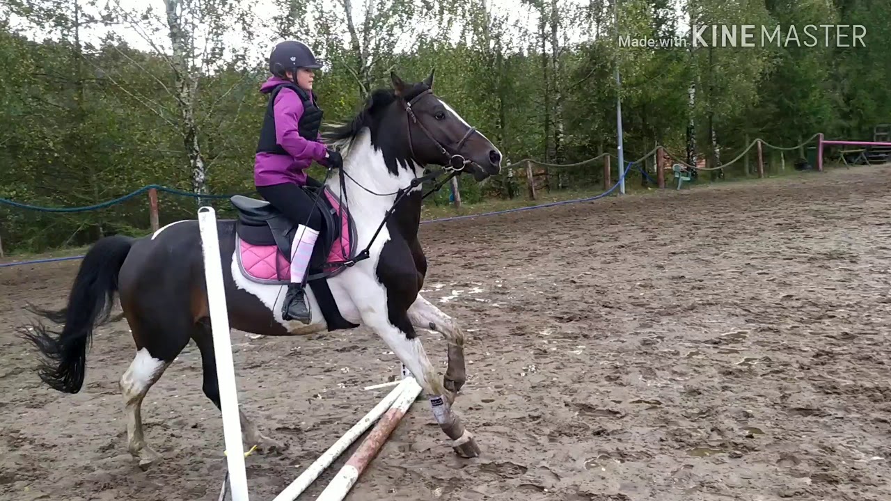Stajnia Lubiczówka - trening Perkun