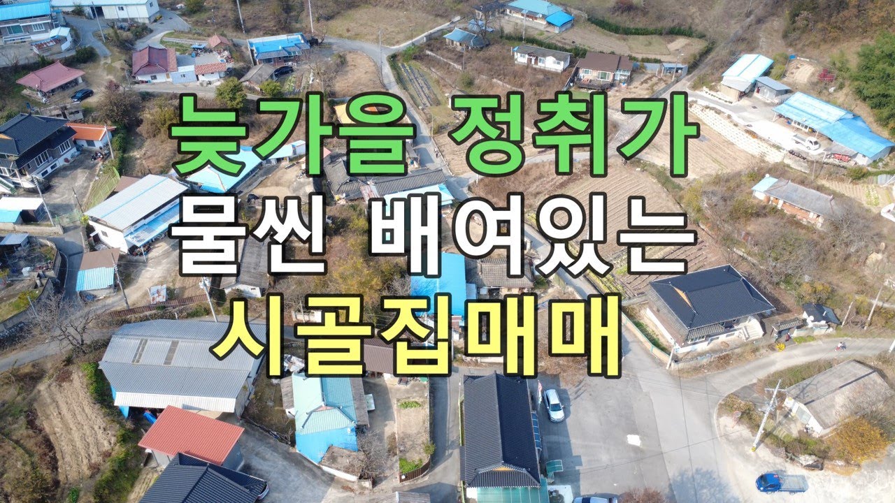 마당에 감이 주렁주렁 열려있는 시골집 매매 #상주부동산#싼땅#시골땅#촌땅#경북땅#귀농귀촌