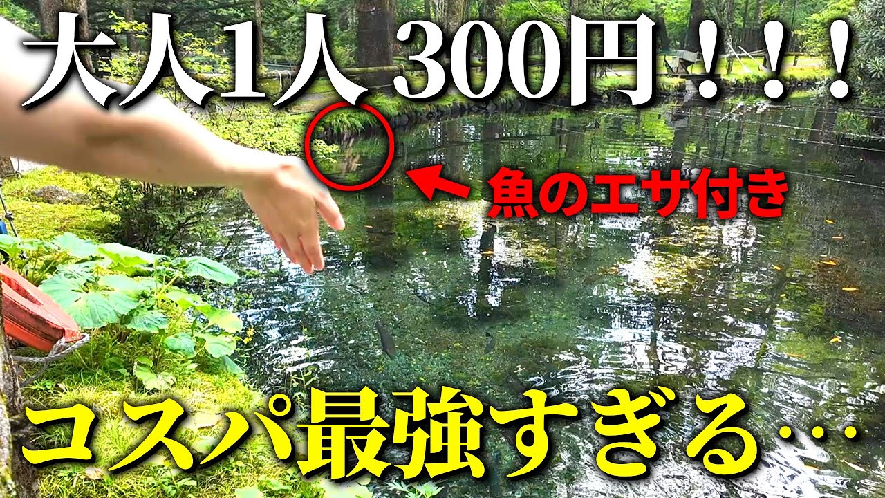 【栃木】中禅寺湖のすぐ近くにある魚の研究施設が想像以上に楽しすぎた！｜さかなと森の観察園【水族館マニアが徹底解説レビュー】