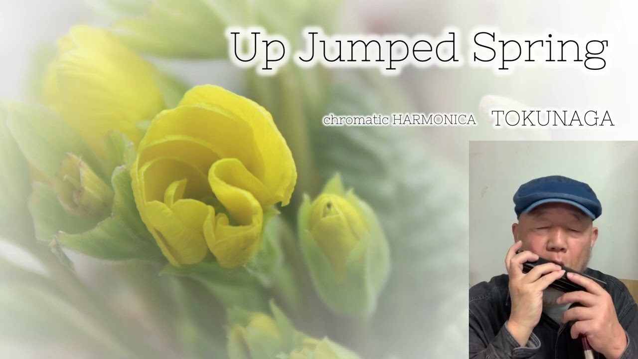 【Up Jumped Spring】ーーCHROMATIC HARMONICA（Tokunaga Sound）