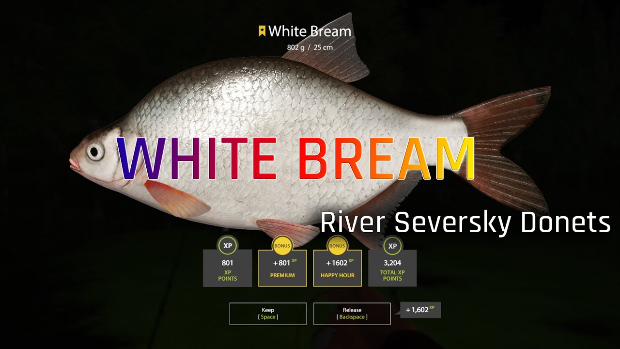Russian Fishing 4 - RF4 | White Bream | River Seversky Donets