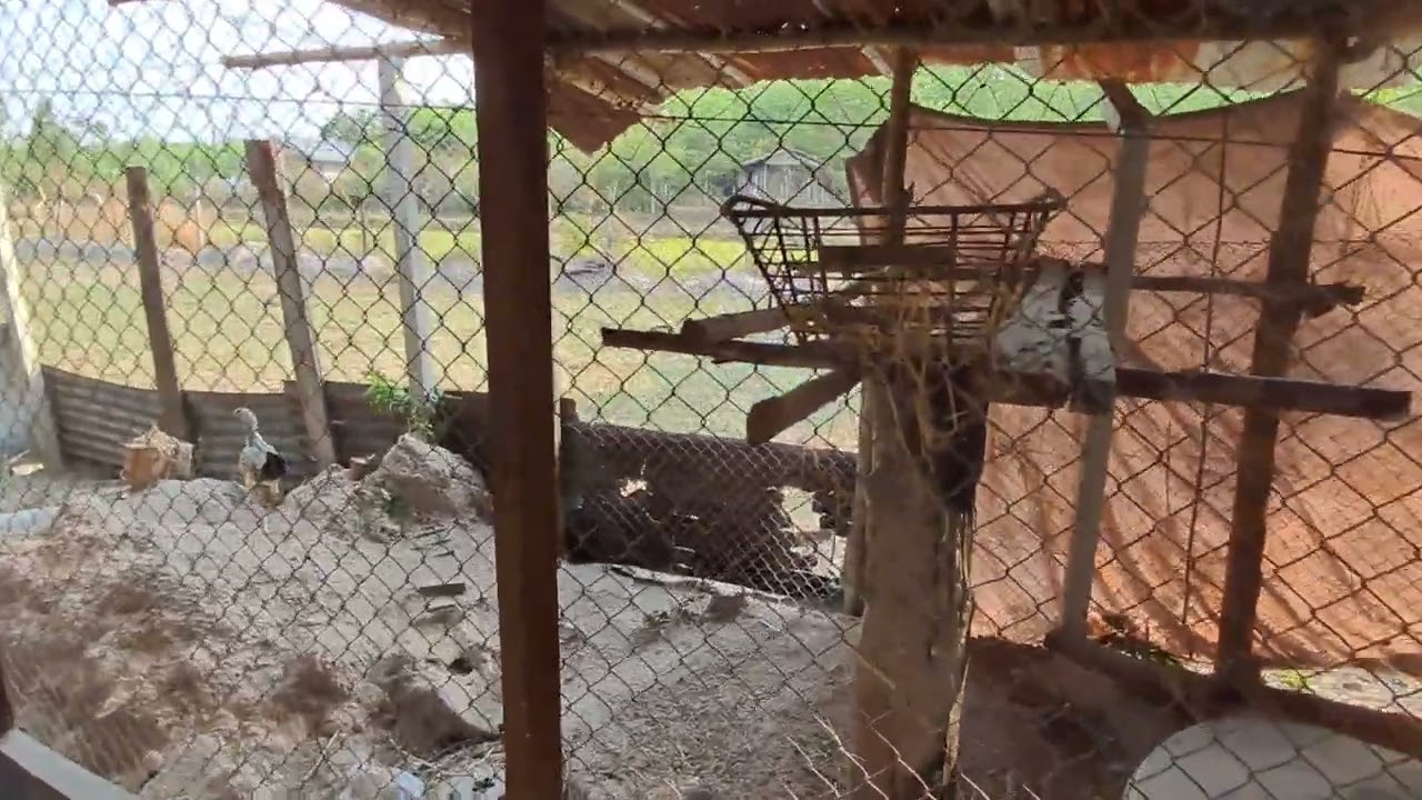 О нет... Очередное изменение!