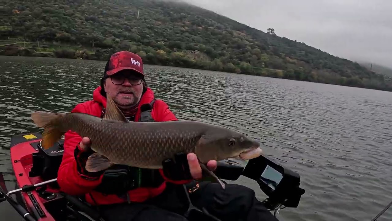 Pesca de grandes peixes com a Fishus Mojo Nymph