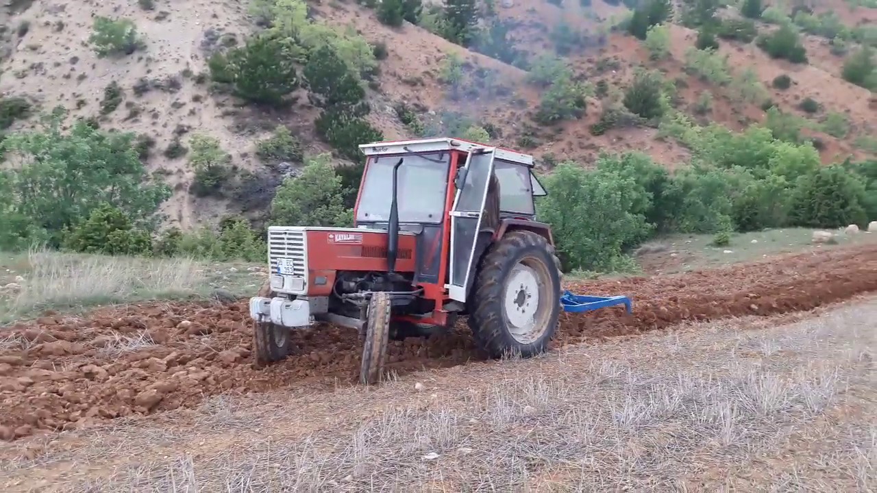 Steyr 760 Avrupa