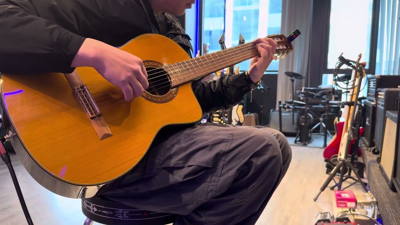 Takamine ec132SC - Dual CT4DX pickup / made in japan