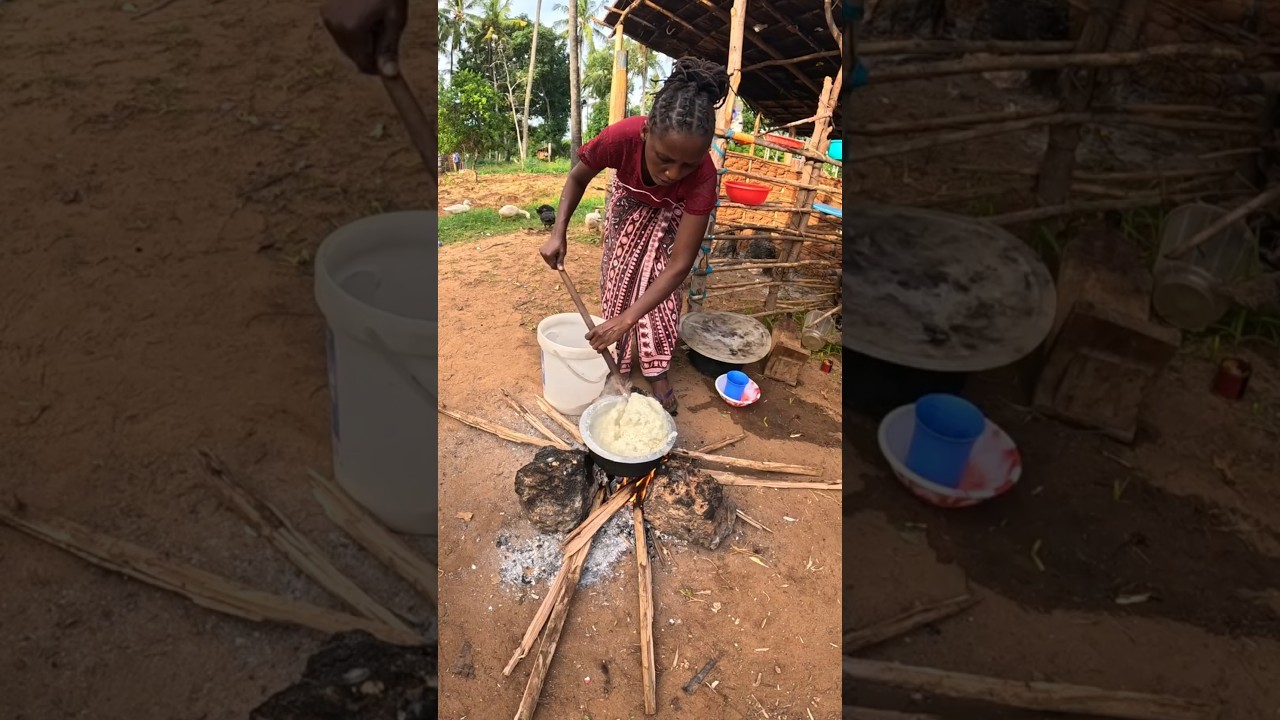 African Village Life 