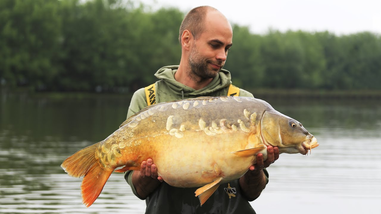 Catch Carp Hungary - Carp Heaven 2017
