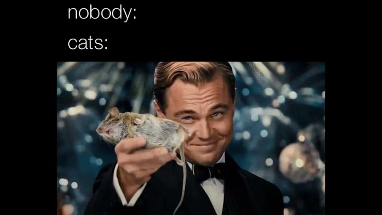 Сочные ночные мемы 1421