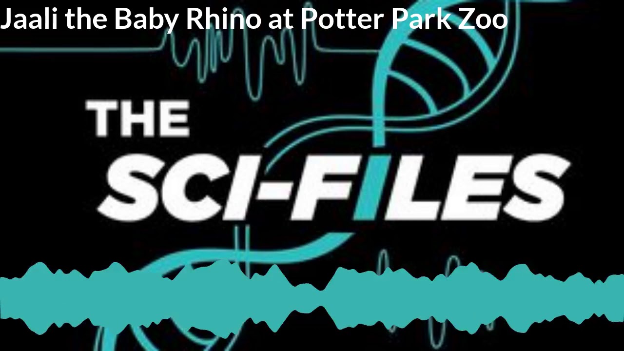 Jaali the Baby Black Rhino at Potter Park Zoo - The Sci-Files Impact 89FM -  Full Episode