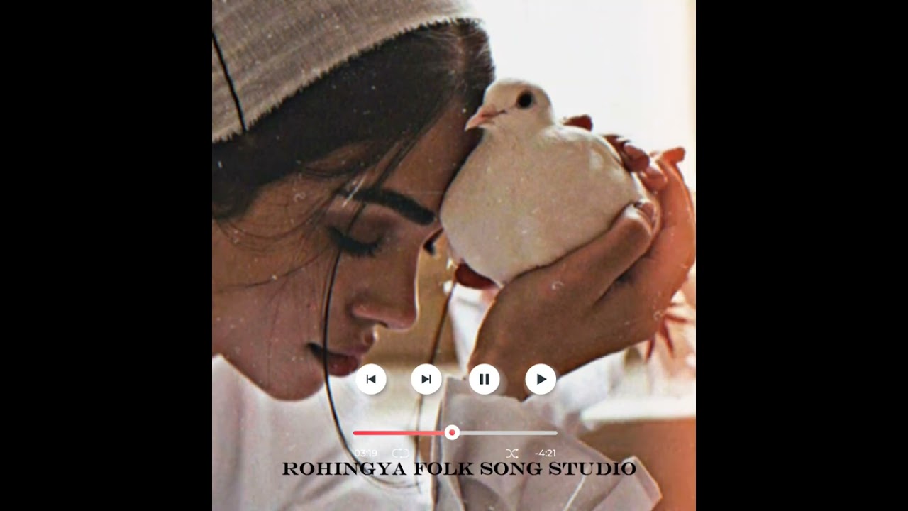 Hoillar Tukra Faik Re || Setera Begum || Rohingya Best Song || Rohingya Folk Song Studio