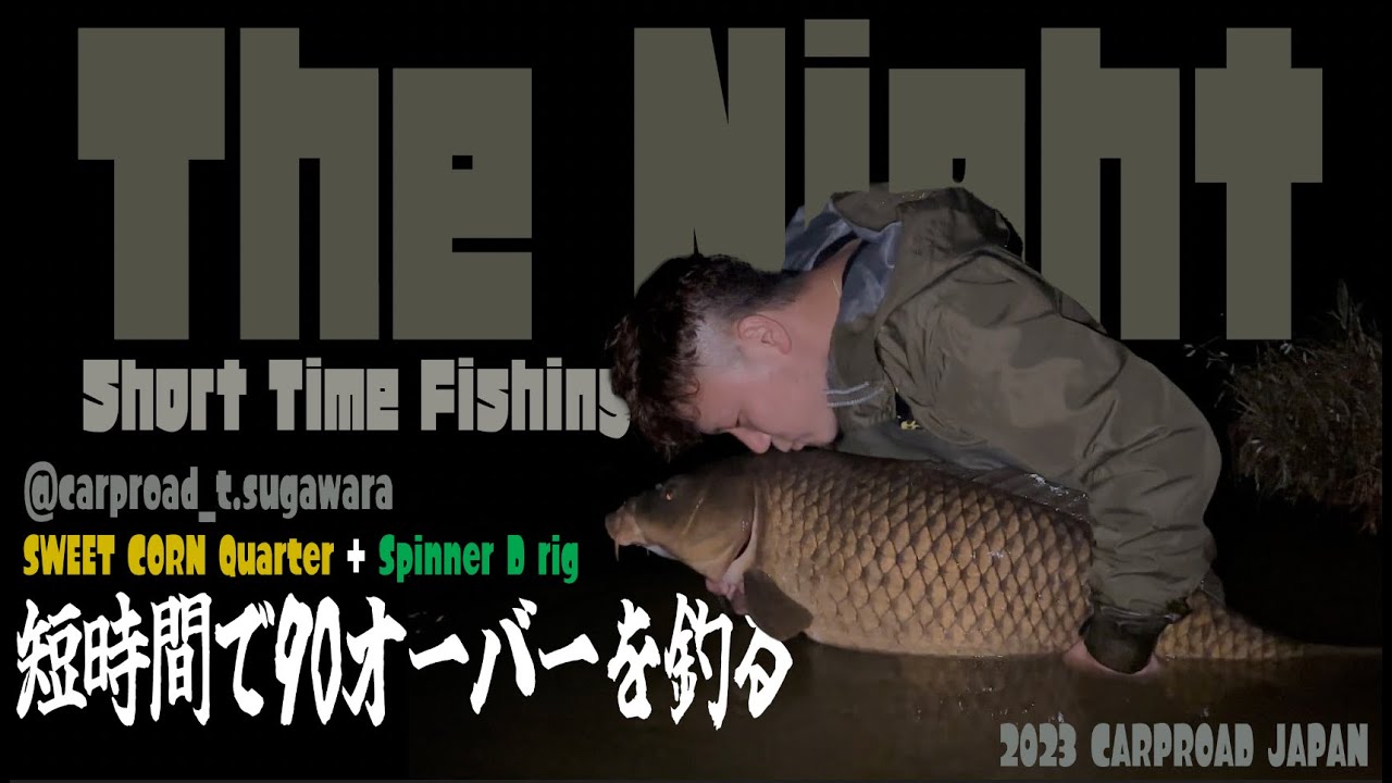 【The Night 】🇯🇵 短時間で90オーバーを釣る！ Short Time Carpfishing  [4K]  [カープフィッシング]  [鯉釣り]