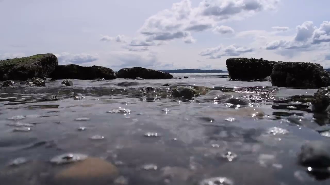55 Seconds of Zen from West Seattle's Alki Point