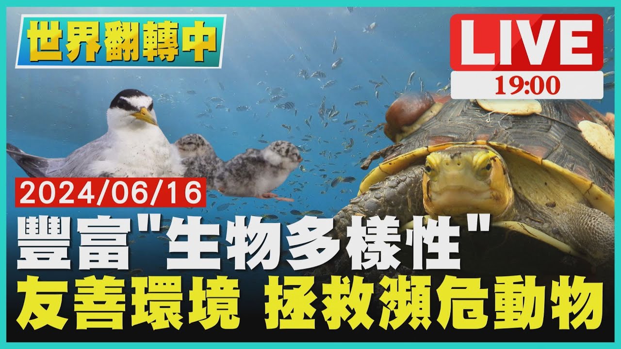 豐富「生物多樣性」 友善環境 拯救瀕危動物【世界翻轉中】完整版 ｜20240616