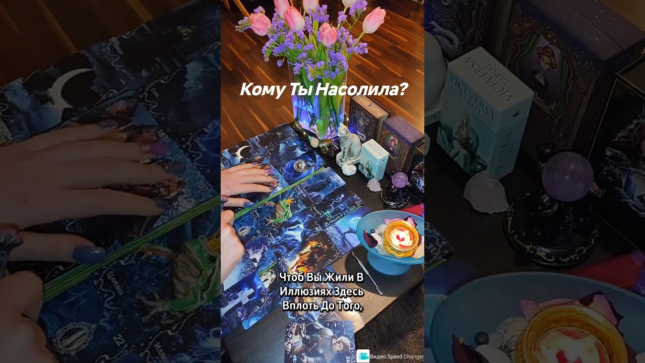 Кому Ты Насолила? 
