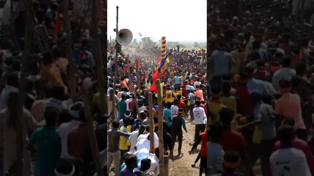 KDM Kanta Bull catching