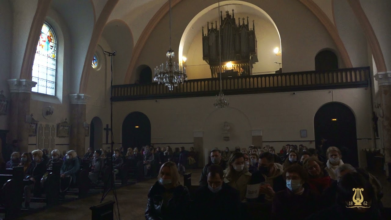 Органные академии. Штайгледер 