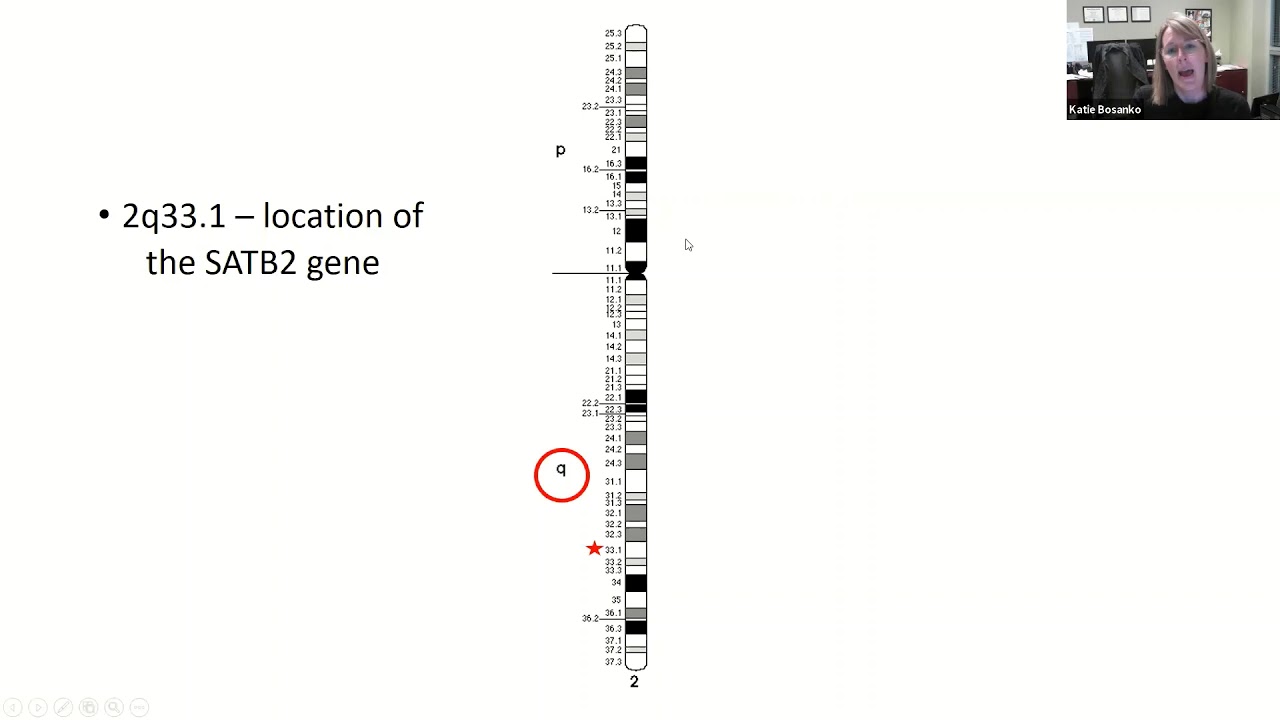 SATB2 Genetics 101