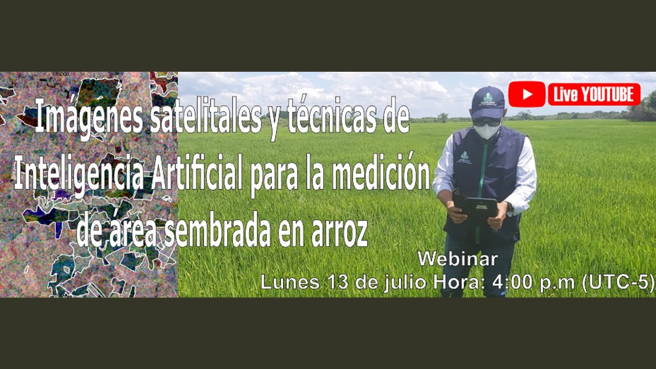 Imágenes satelitales y técnicas de IA para la medición de área sembrada en arroz