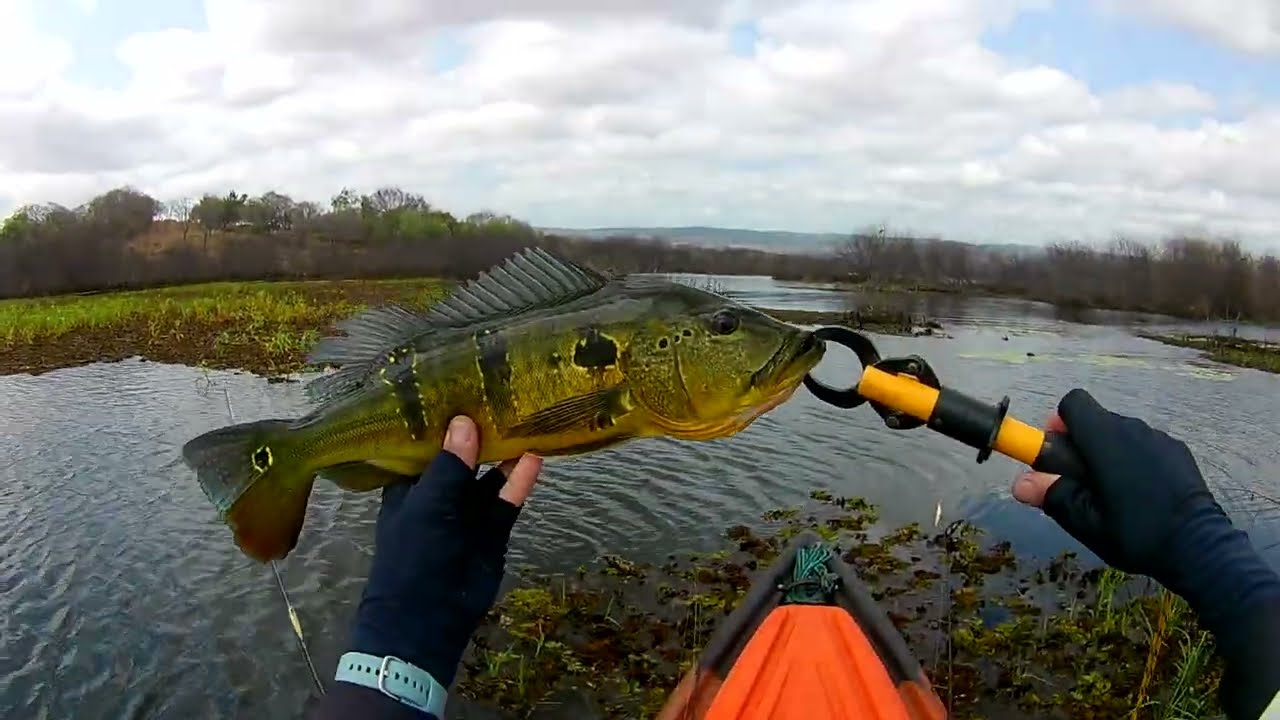 Fim do canal BOTELHO DREAMY FISHERMAN! Olha o TUCUNARÉ que entrou na TOP GUN 80 😱
