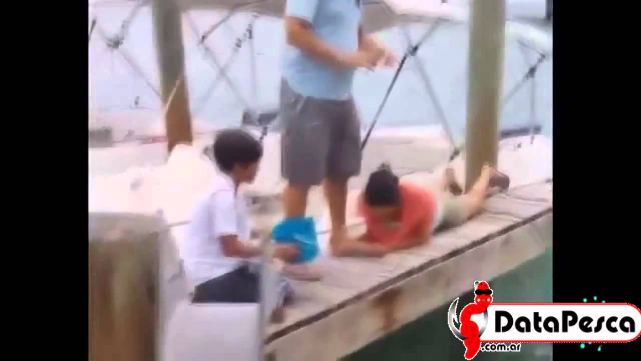 Bloopers de pesca