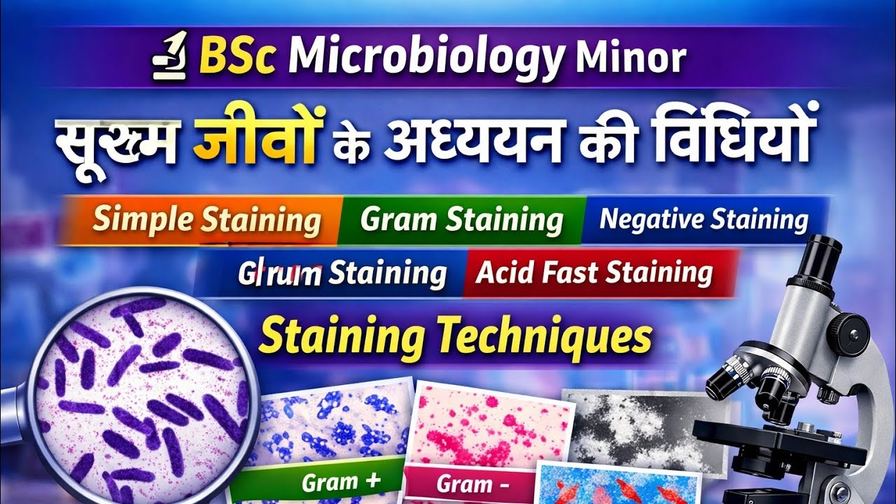 BScMicrobiology Minorसूक्ष्म जीवों केअध्ययनकी विधियाँStainingTechnique,Simple,GramNegative Acid Fast