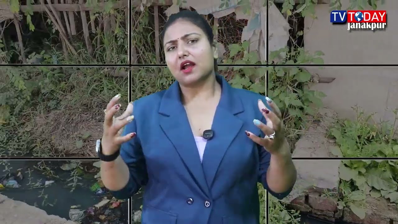 जनकपुरधाममे मच्छर आतंक, उपमहानगरपालिका मच्छर नियन्त्रणमे असफल | Janakpurdham | Mosquitoo