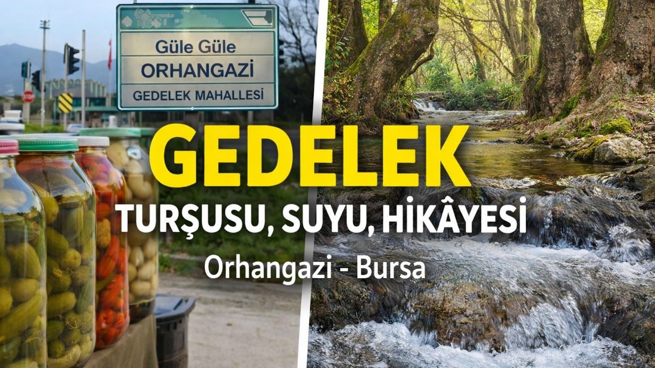 Orhangazi Gedelek Mahallesi | Suyu, Zeytini ve Günlük Yaşamı #Gedelek #OrhangaziGezisi #YerelYaşam