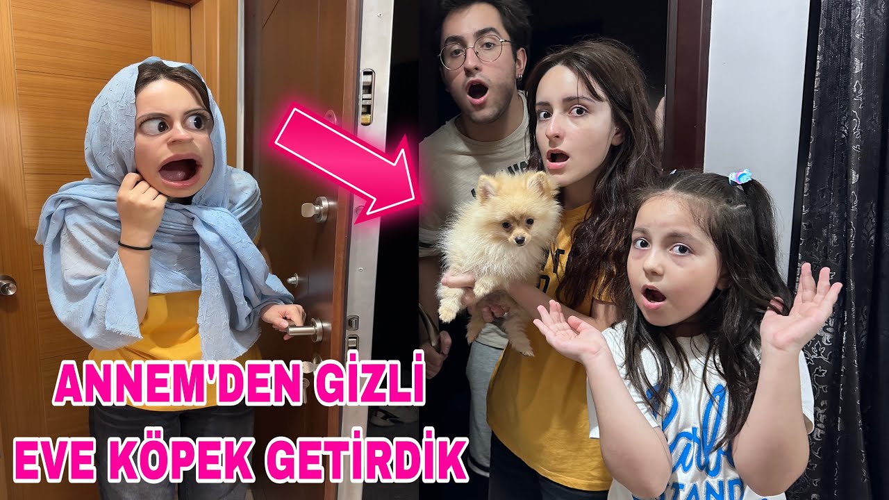ANNEM ÇILDIRDI‼️GİZLİCE EVE KÖPEK GETİRDİK‼️PRENSES HİRANUR ZEYNEP 