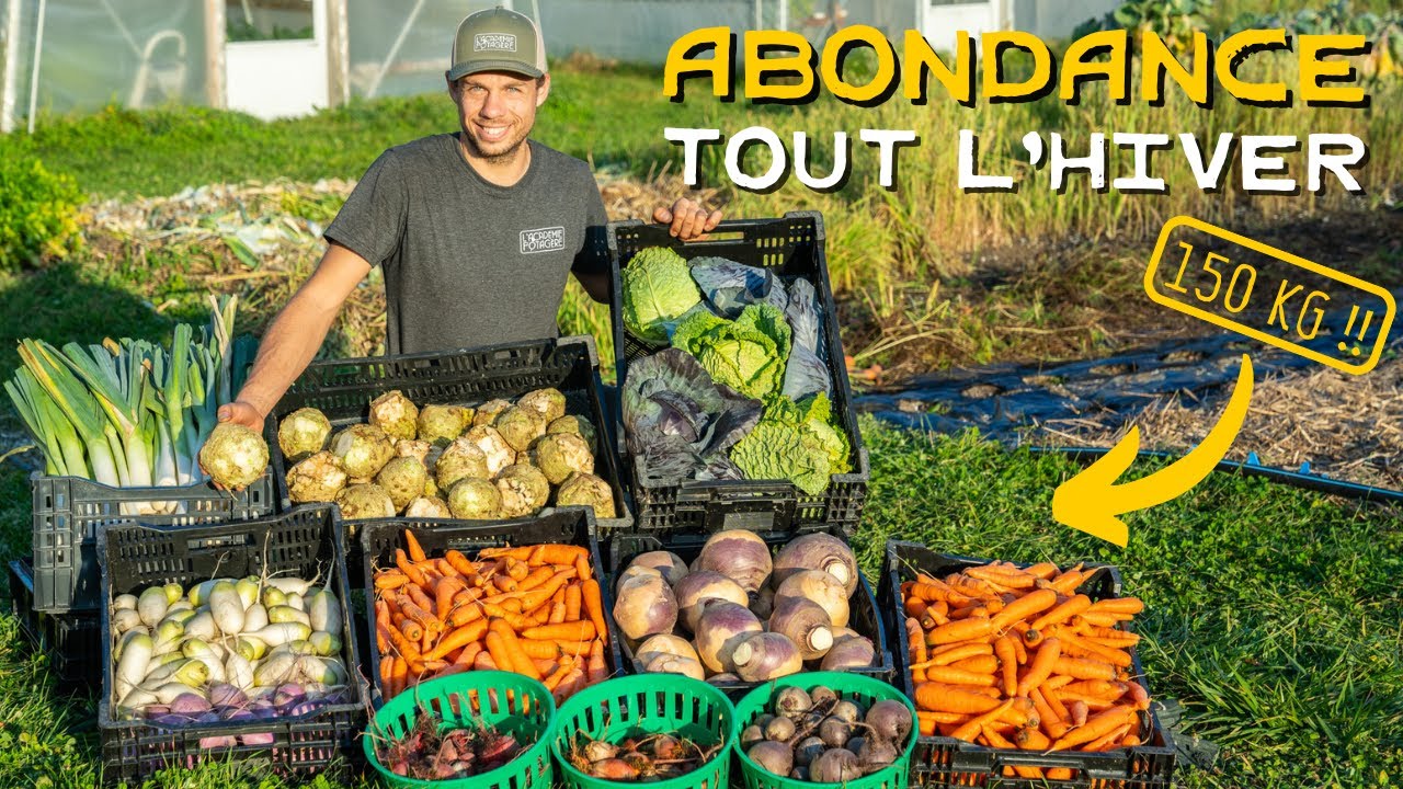 150 KG !! 😱🥕 Dernière récolte au potager et provisions pour l’hiver ! 🙌