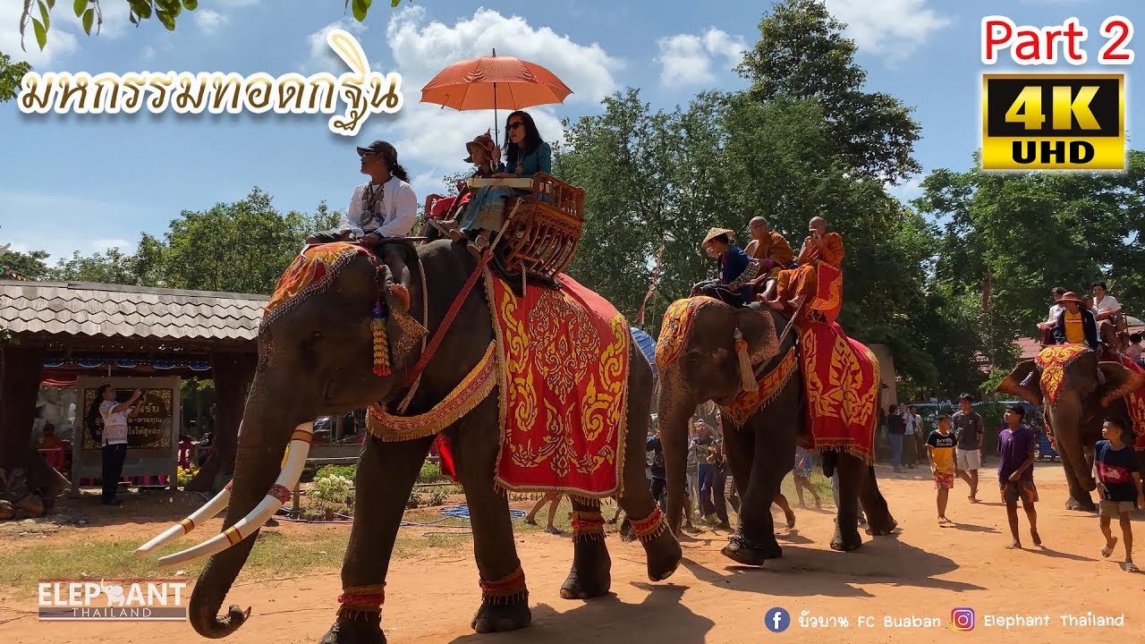 ระทึก!ช้างเกือบเหยียบ!! มหกรรมทอดกฐินที่ใหญ่ที่สุด[Part 2]