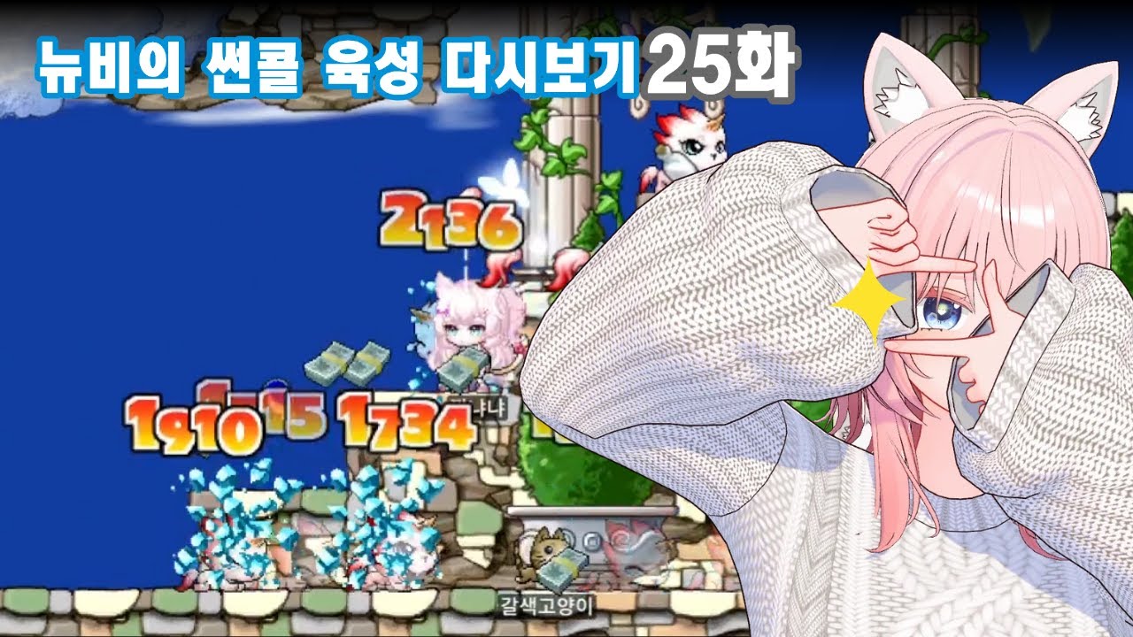 뉴비낑냐의 썬콜 육성기 25일차 다시보기
