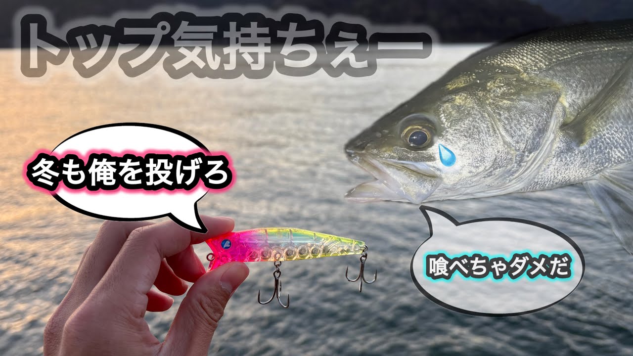 真冬のシーバスをトップウォーターで狙ったら…