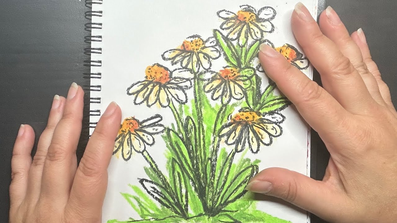 How to Draw Daisies with Oil Pastels Easy Step-by-Step Guide for Beginners in Sketchbook Art