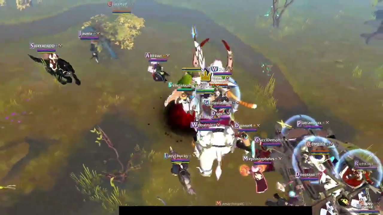 mamy catch with woof and alliance