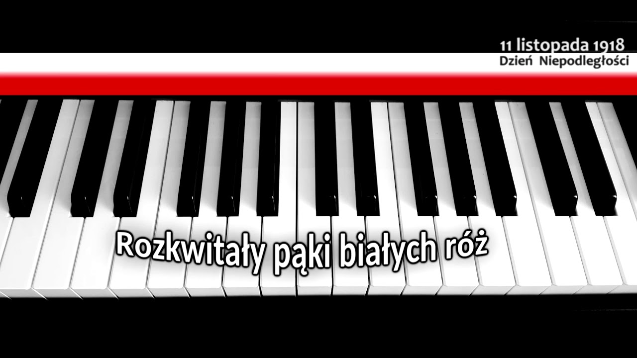 Rozkwitały pąki białych róż (PIANINO)