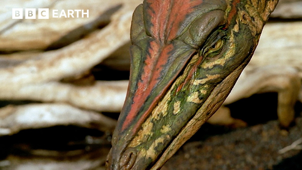 Placerias vs Celophysis: Triassic Survival Battle | Walking with Dinosaurs 1999 | BBC Earth Science
